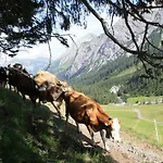 Hof Kurzamann * Klosterle am Arlberg