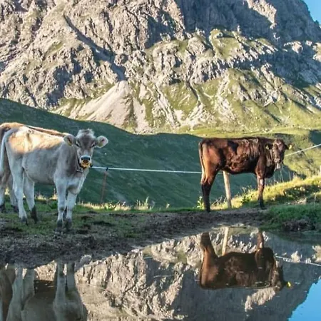 Appartamento Hof Kurzamann Klosterle am Arlberg