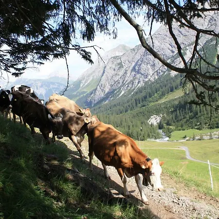 Hof Kurzamann * Klosterle am Arlberg