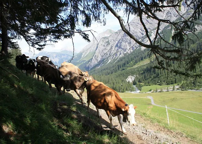 Hof Kurzamann * Klosterle am Arlberg